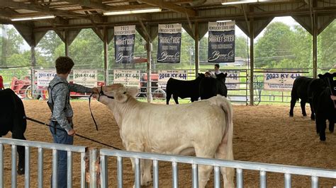 Boone County 4-H and Utopia Fair showcases livestock