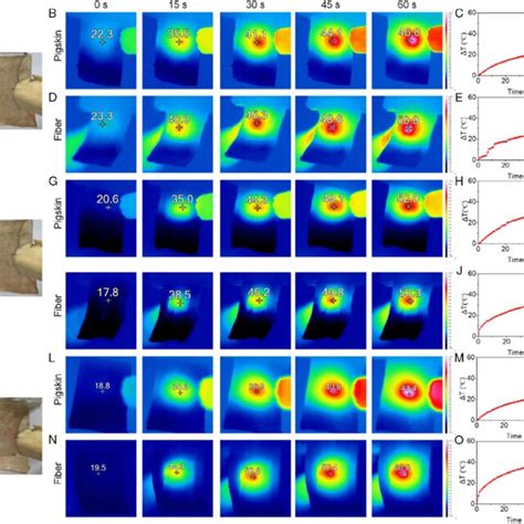 The Photothermal Performances Of Different Sized Pda Ha Dox