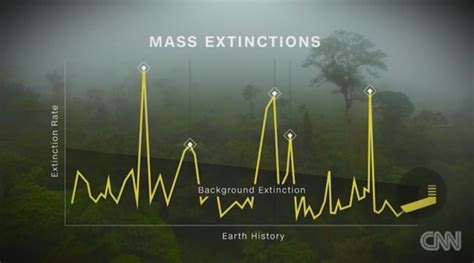 Sixth Mass Extinction The Era Of Biological Annihilation