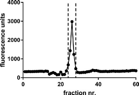 Activity Profile Of Sec Column Fractions Superdex 200 Size Exclusion Download Scientific