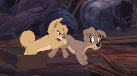 Angel(Lady and The Tramp 2) images lady tramp 2 disneyscreencaps.com ...