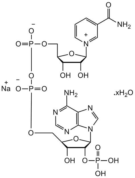 Beta Nicotinamide Adenine Dinucleotide Phosphate Sodium Salt Hydrate