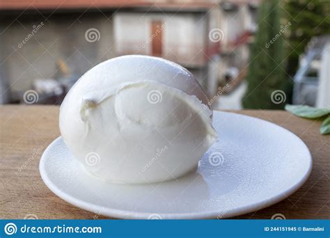 White Ball Of Italian Soft Cheese Mozzarella Di Bufala Campana And