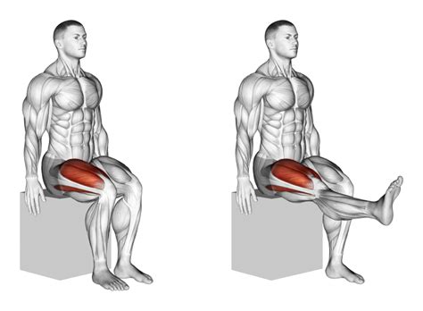 Seated Knee Extension: Benefits, Muscles Worked, and More - Inspire US