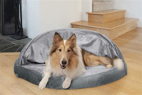 Our 6 Favorite Cave Dog Beds for 2019 | The Dog People by Rover.com