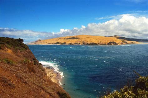 42 Pixels Home/New Zealand 1994/0148-Hokianga_Harbour