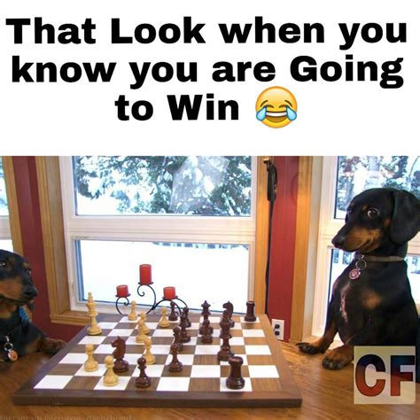 Top 7 Chess Memes