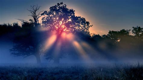 Fondos de pantalla luz de sol puesta de sol naturaleza reflexión