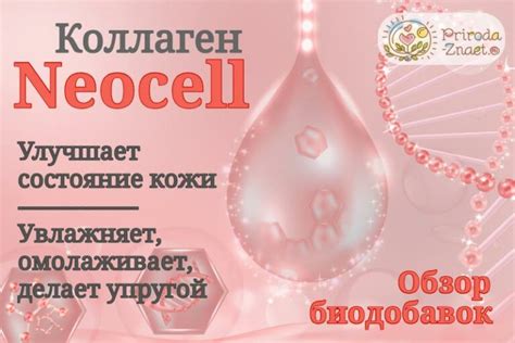 Коллаген Neocell: средства с биоактивным белком, что он дает организму ...