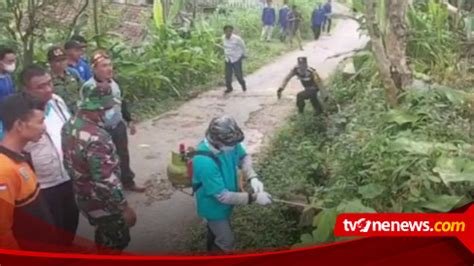 Populasi Tikus Di Pacitan Meningkat Komplikasi Penyakit Leptospirosis