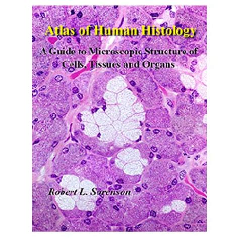 The Atlas Of Human Histology 3rd A Guide To Microscopic Structure Of