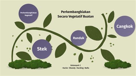 Perkembangbiakan Vegetatif Buatan By Muhammad Thariq Makarim On Prezi