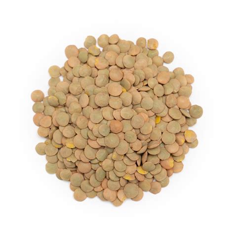 Organic Green Lentils Forest Whole Foods Trade