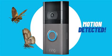 6 Tips To Prevent Bugs From Setting Off Ring Doorbell Motion