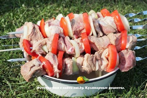 Маринованное мясо для шашлыков - рецепт, фото, как приготовить вкусно ...