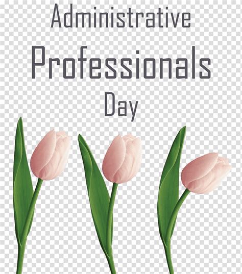 Administrative Professionals Day Secretaries Day Admin Day Plant Stem