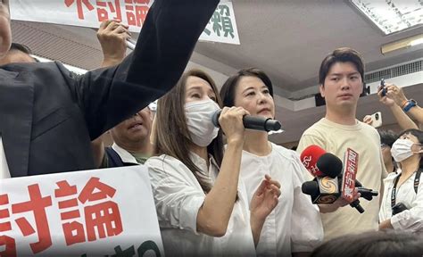 藍綠為選罷法修正發起「甲級動員」 內政委員會兩黨對峙！