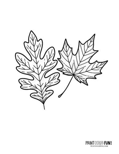 Autumn Leaf Colouring Sheets Infoupdate Org