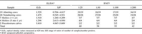 Serological Diagnosis Of Neosporosis In A Herd Of Dairy Cattle In