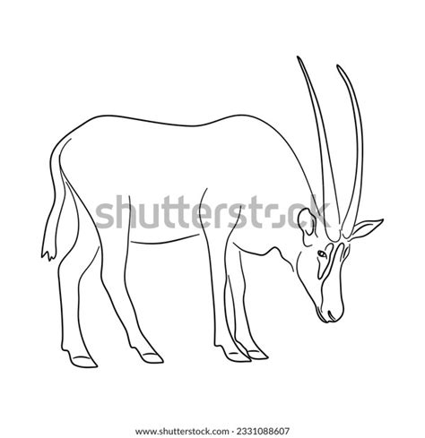 159 Oryx Doodle Images Stock Photos 3d Objects And Vectors Shutterstock