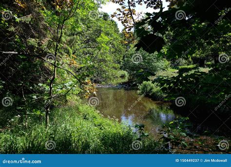 Scotlands Parks Lucious Greenery And A Gentle Flowing River With