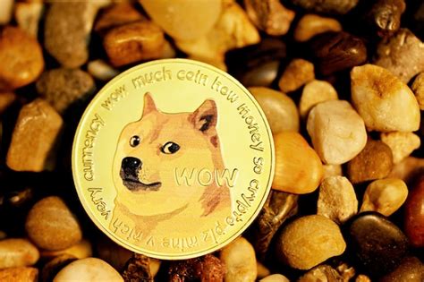 Trading with DOGE - full guide - Cryptiqo