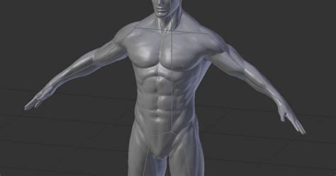 Human Male Base Mesh With Armature By Books Download Free Stl Model