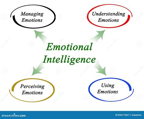 Diagram Of Emotional Intelligence Stock Illustration Illustration Of