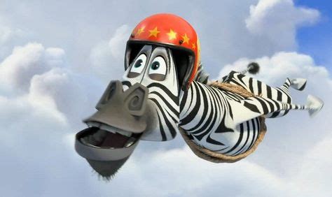 60 Marty (Madagascar) ideas in 2021 | madagascar, marty, madagascar movie