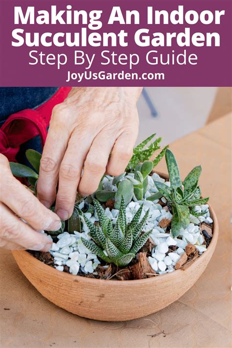 How to Make an Indoor Succulent Garden | Joy Us Garden