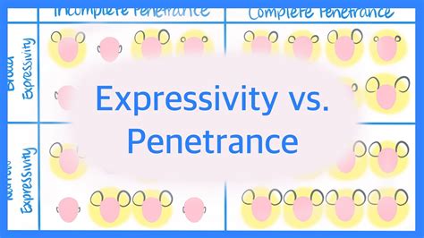 Expressivity vs. Penetrance - YouTube