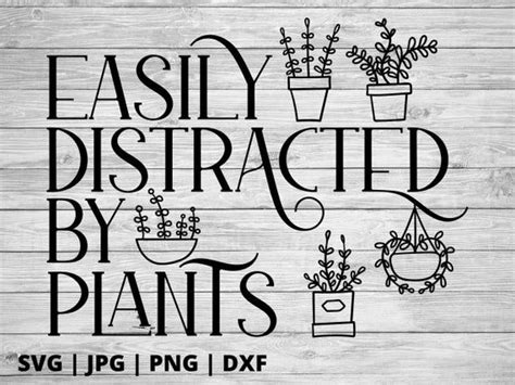 Easily Distracted By Plants Svg Plant Shirt Svg Plant Svg Etsy