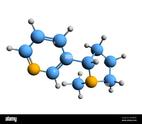 3d Image Of Nicotine Skeletal Formula Molecular Chemical Structure Of