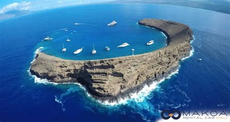 Exploring Molokini Snorkeling - The Best Car Rental 2024