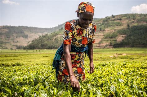 Oxfam Global Food Challenge: Teaching Resources for Ages 7-14 | Oxfam GB