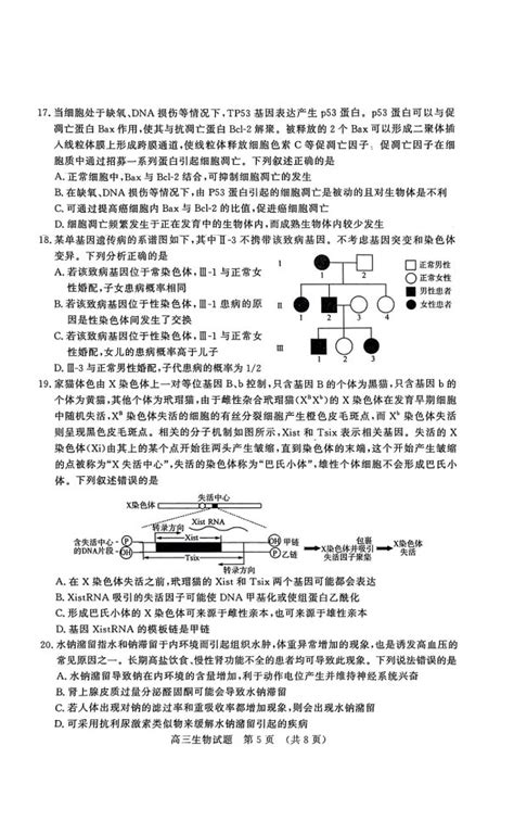 山东名校考试联盟2023年12月高三阶段性检测生物试题和答案自主选拔在线