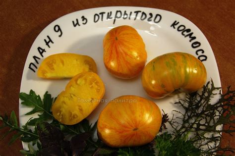 План 9 из Открытого космоса (Plan 9 from Outer Space), США - Томатная ...