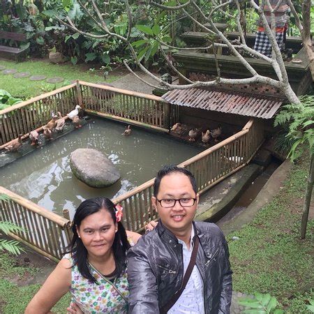 Bebek Tepi Sawah Di Ubud