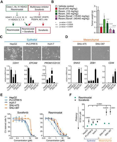 Resminostat Exhibits Anti Proliferative Activity In Hcc Cells With