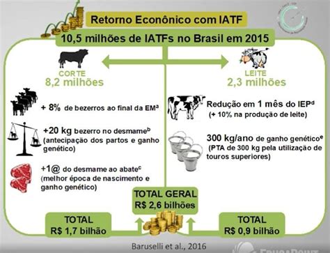 Iatf Na Produ O De Carne Quais Os Impactos Financeiros Blog