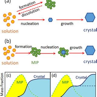 Nonclassical Pathways Of Crystallization In A System Exhibiting A