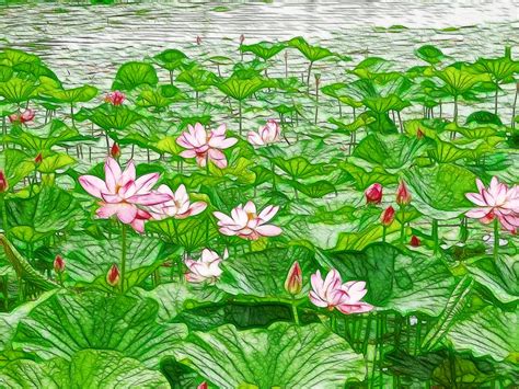 Pink Lotus Blossom Painting by Jeelan Clark - Fine Art America