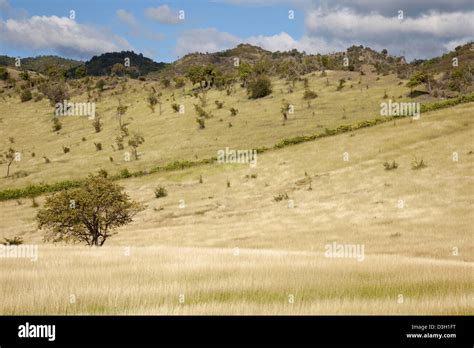 Sierra maestra mountains cuba hi-res stock photography and images - Alamy