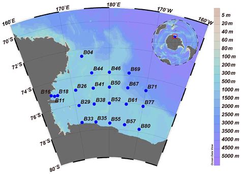 Diversity Free Full Text Spatial Distribution Pattern Of The