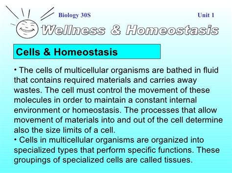 Cells & Homeostasis