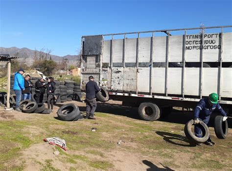 Andes on line Retiran cerca de 450 neumáticos en desuso desde lugares