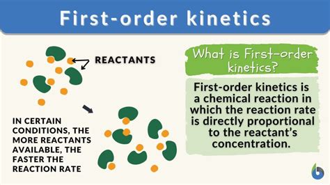 First Order Kinetics Definition And Examples Biology Online Dictionary