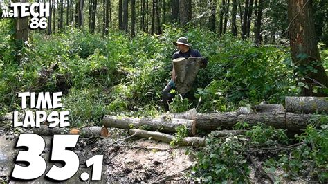 Manual Removal Of A Beaver Fallen Tree And A Gale Felled Tree No 35 1