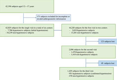 Prevalence and Risk Factors for Hypertension in Adolescents Aged 12 to