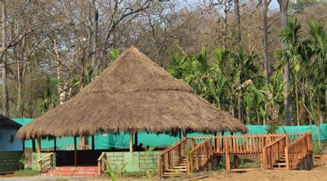 Dandeli Jungle Nest Homestay Lodges Resort Dandeli Resorts